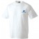 color:white